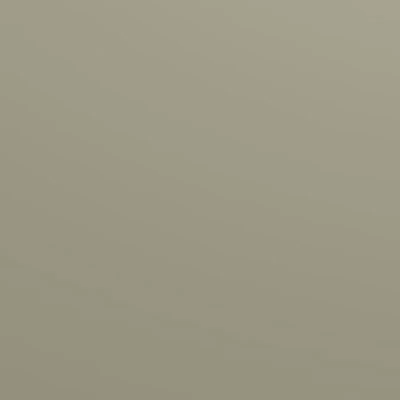 Пластик HPL Gentas TOUCH-3151 Dove Grey