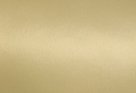 Homapal. 794 Alu Brushed Goldtone Special