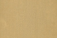 Homapal. M5309 Plex Gold