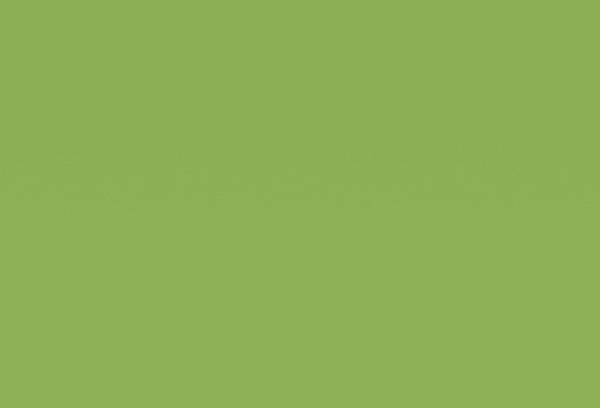 Homapal. 8259 Magnetic Board Apple Green Matt / Chalk