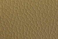 Homapal. M6430 Hammered Brass
