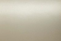 Homapal. 325 Alu Brushed Champagne