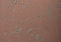 Homapal. 635/502 Copper Moon Turquoise