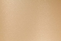 Homapal. 434 Alu Crossbrushed Goldtone