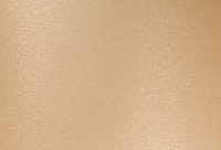 Homapal. 434 Alu Crossbrushed Goldtone