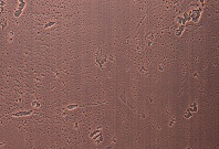 Homapal. 636/502 Copper Moon Dark