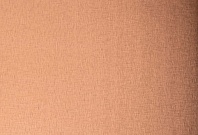 Homapal. 437 Alu Crossbrushed Coppertone