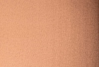 Homapal. 437 Alu Crossbrushed Coppertone
