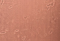 Homapal. 637/502 Copper Moon Ligth