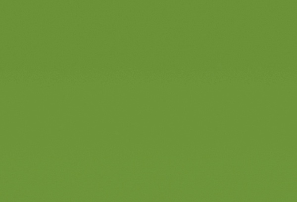 Homapal. 8232 Magnetic Apple Green Glossy / Board Marker