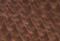 Homapal. 401/229 Copper Crush Stipple