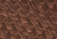 Homapal. 401/229 Copper Crush Stipple