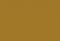 Homapal. 8277 Magnetic Board Curry Glossy / Boardmarker