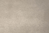 Homapal. M6426 Plex Brass