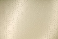 Homapal. 325/360 Alu Brushed Champagnertone