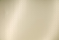 Homapal. 325/360 Alu Brushed Champagnertone