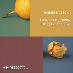 FENIX NTM Bloom - новые возможности!